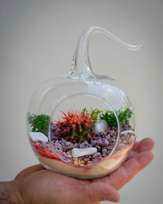 Content for a store of compositions with succulents. Portrait and wedding photographer in New York