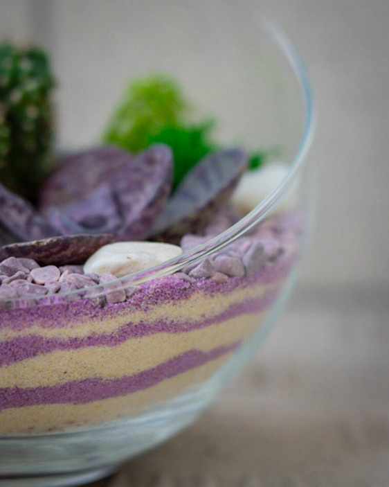 Content for a store of compositions with succulents. Portrait and wedding photographer in New York