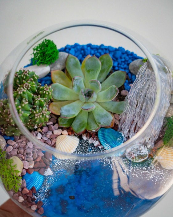 Content for a store of compositions with succulents. Portrait and wedding photographer in New York