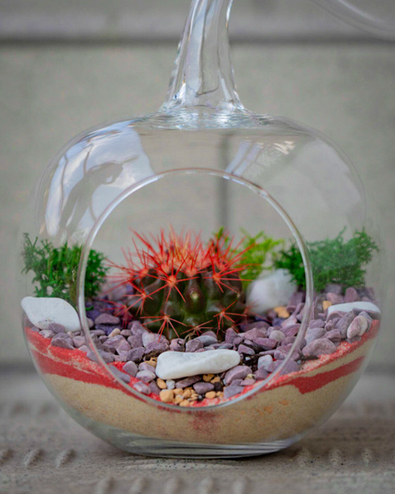 Content for a store of compositions with succulents. Portrait and wedding photographer in New York