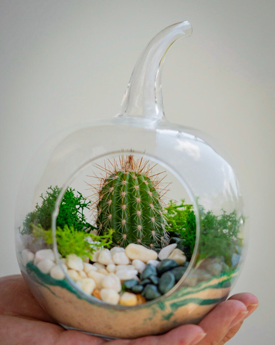 Content for a store of compositions with succulents. Portrait and wedding photographer in New York