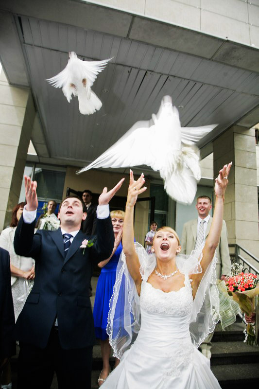 A mix of older weddings. True Story Photography