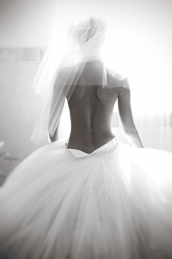 Wedding photography collection. Portrait and Wedding Photographer Brussels & Amsterdam