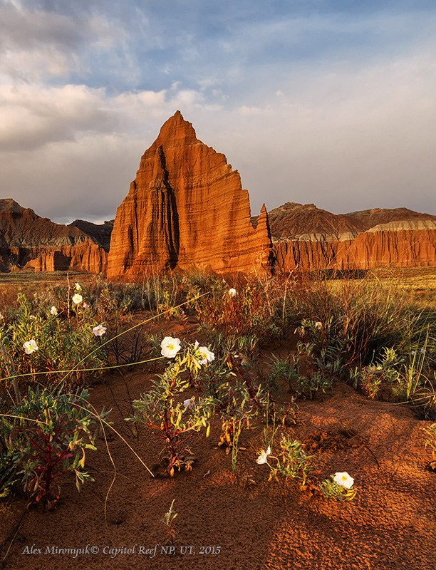 Eagle’s View: The American Southwest. Pet, Senior, Landscape, portrait studio, photographer in Miami and Sou