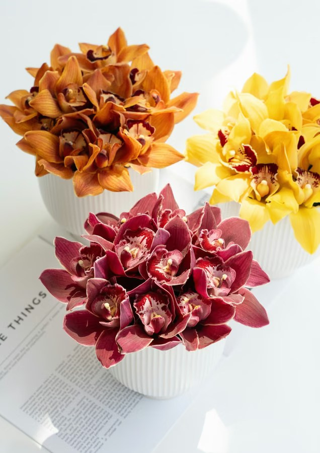 Three sculptural flowers in brown, burgundy and yellow on a white background