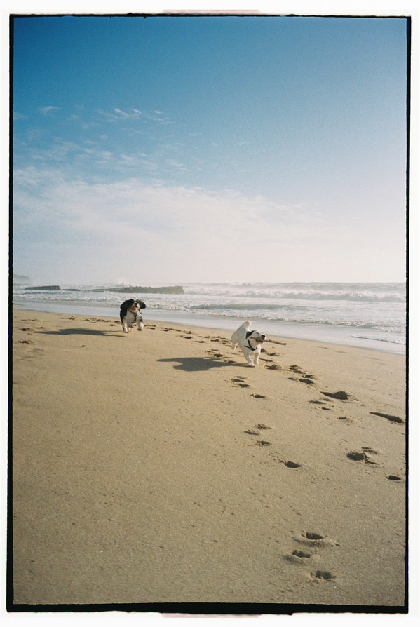 FILM. Valery — Film and digital Photographer. Conceptual, Portrait & Brand Photography. Authentic, Identity Focused Storytelling. Lisbon, Portugal