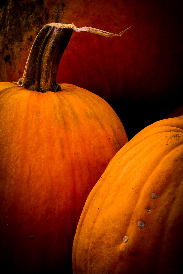 Farbe. Marina, Fotograf aus Nürnberg