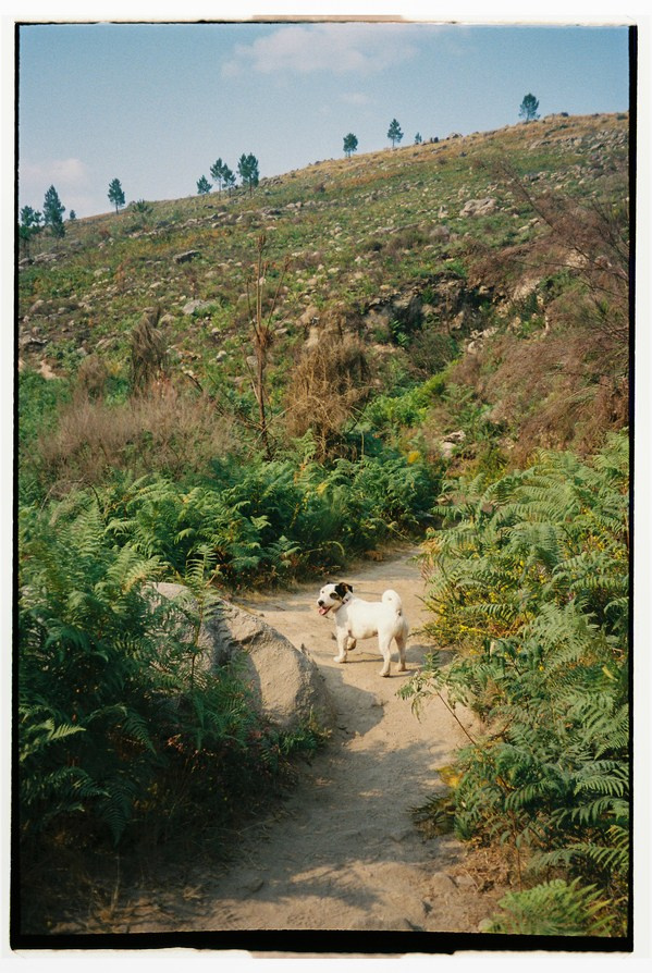 FILM. Valery — Film and digital Photographer. Conceptual, Portrait & Brand Photography. Authentic, Identity Focused Storytelling. Lisbon, Portugal