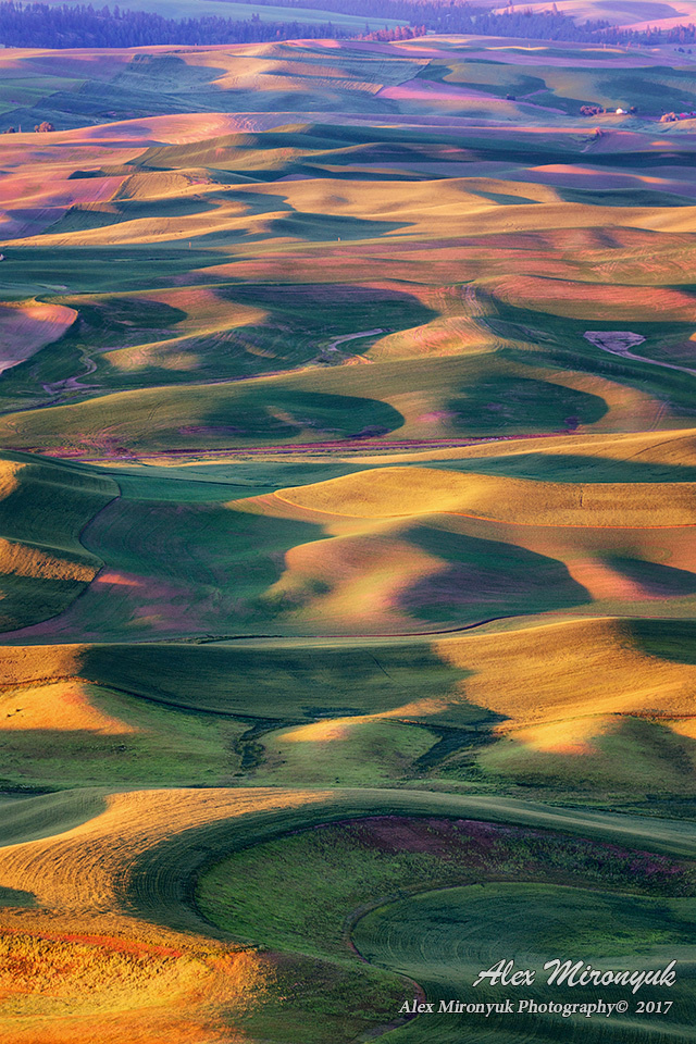 Palouse. Alex Mironyuk Photography