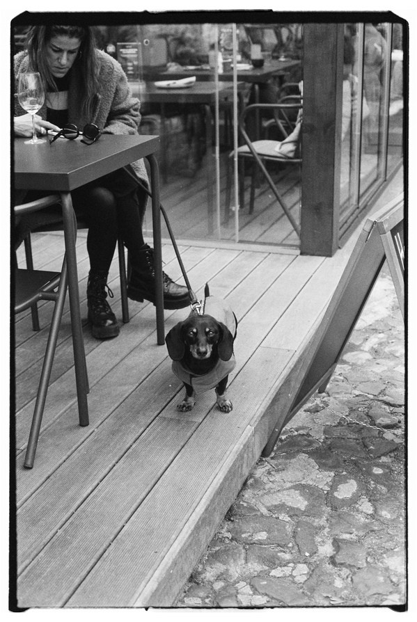 Street — Lisbon Through My Lens. Valery — Film and digital Photographer. Conceptual, Portrait & Brand Photography. Authentic, Identity Focused Storytelling. Lisbon, Portugal