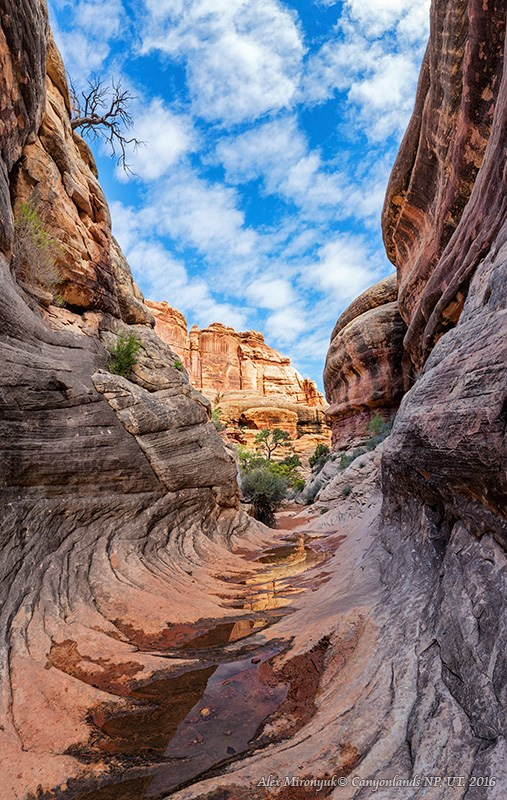 New Year In Utah. Pet, Senior, Landscape, portrait studio, photographer in Miami and Sou