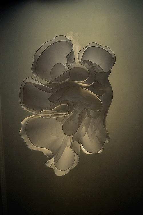 Nata & Boris – Saturday, June 7, 2008 – Monday, June 9, 2008. Emin Kuliyev — Award-Winning Wedding Photojournalist NYC & USA | Best Wedding Photographer Known for Candid, Timeless Moments