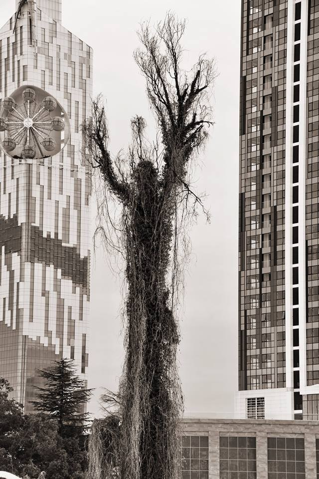 Работы учеников. Фотограф и преподаватель фотографии в Белграде