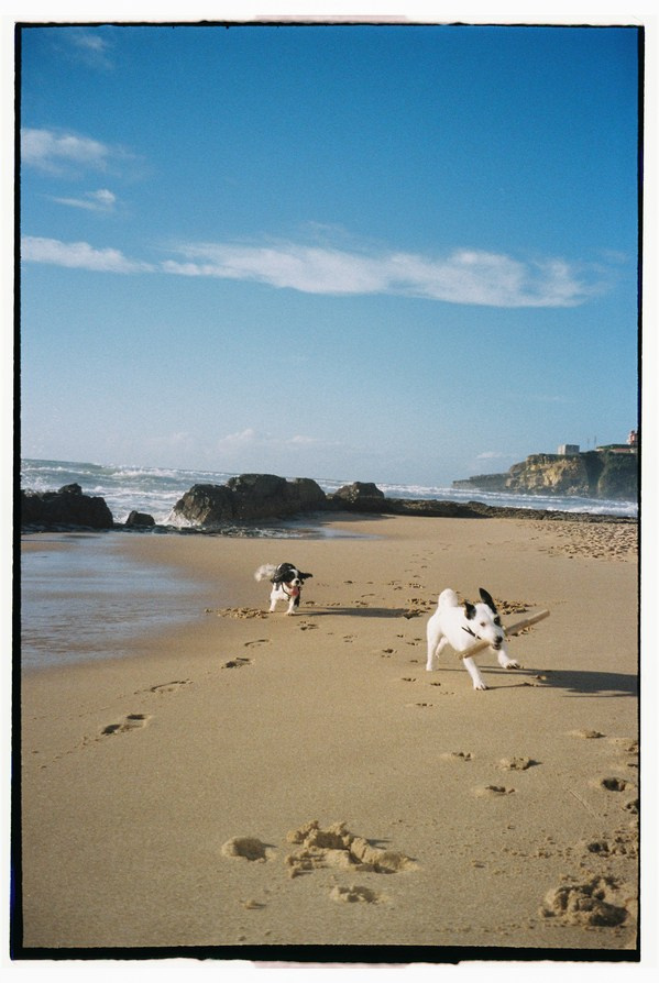 FILM. Valery — Film and digital Photographer. Conceptual, Portrait & Brand Photography. Authentic, Identity Focused Storytelling. Lisbon, Portugal