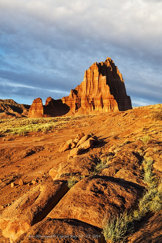 Eagle’s View: The American Southwest. Pet, Senior, Landscape, portrait studio, photographer in Miami and Sou