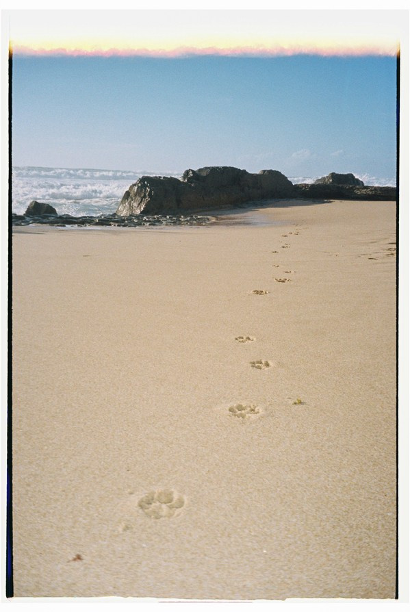 FILM. Valery — Film and digital Photographer. Conceptual, Portrait & Brand Photography. Authentic, Identity Focused Storytelling. Lisbon, Portugal