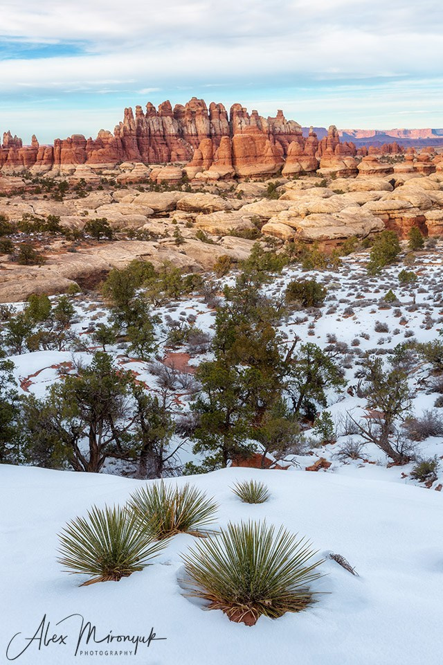 New Year In Utah. Pet, Senior, Landscape, portrait studio, photographer in Miami and Sou