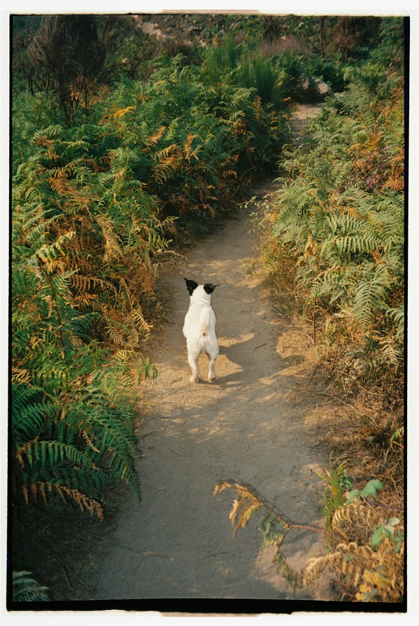 FILM. Valery — Film and digital Photographer. Conceptual, Portrait & Brand Photography. Authentic, Identity Focused Storytelling. Lisbon, Portugal