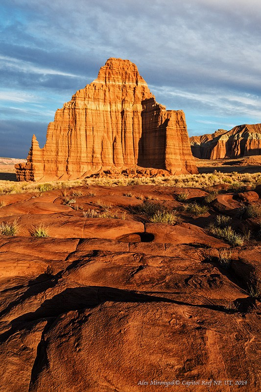 Eagle’s View: The American Southwest. Pet, Senior, Landscape, portrait studio, photographer in Miami and Sou