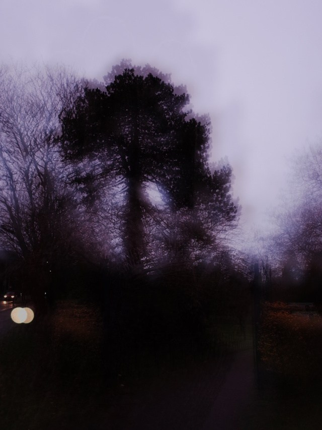 About the author. Victoria Dini. Art photography in London / Folkestone, UK
