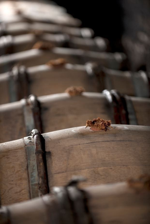 Winemaker. Фотограф Пальма де Майорка