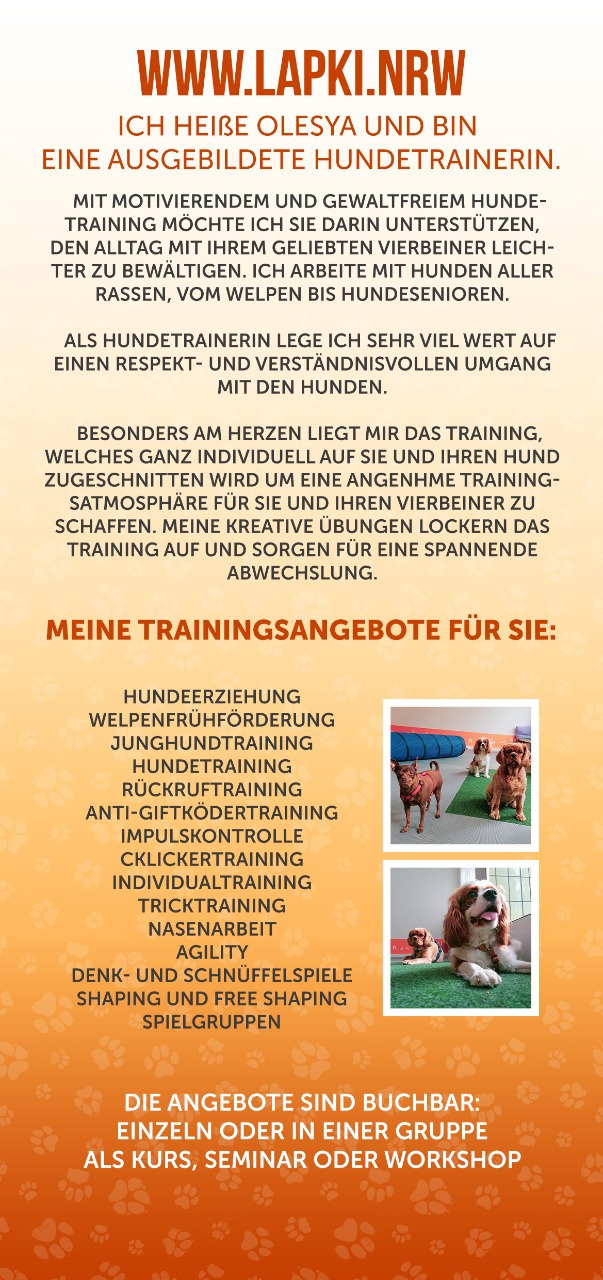 Буклеты. Брошюры. Каталоги. Рекламное агентство в Германии