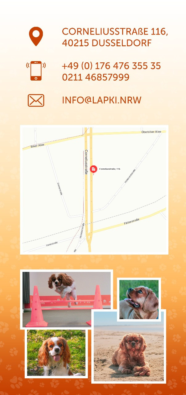 Буклеты. Брошюры. Каталоги. Рекламное агентство в Германии