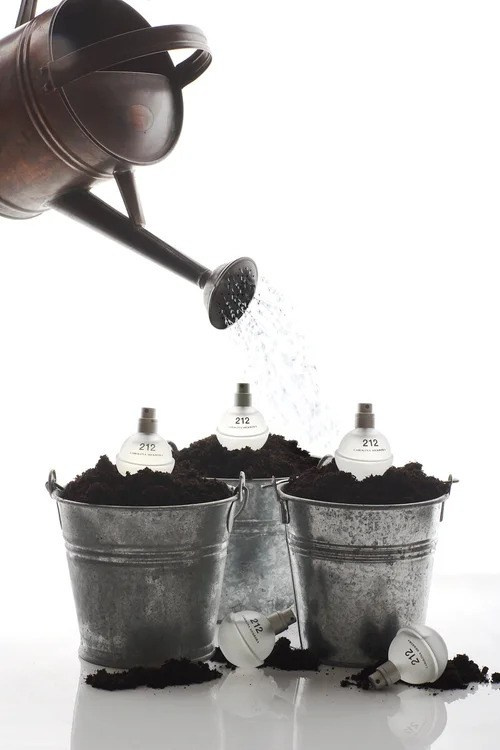 Still Life. Interimagenes I Barcelona Photographers