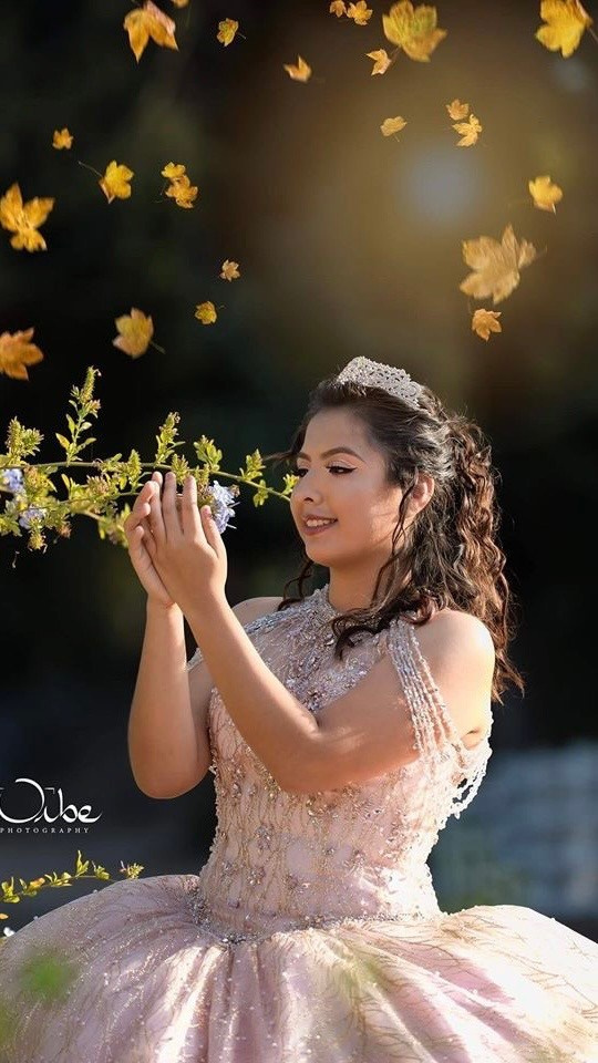 Orbephotography.com