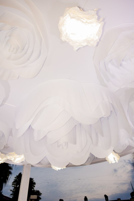 M + A (1). Luis Astorga - Fotografo de Bodas