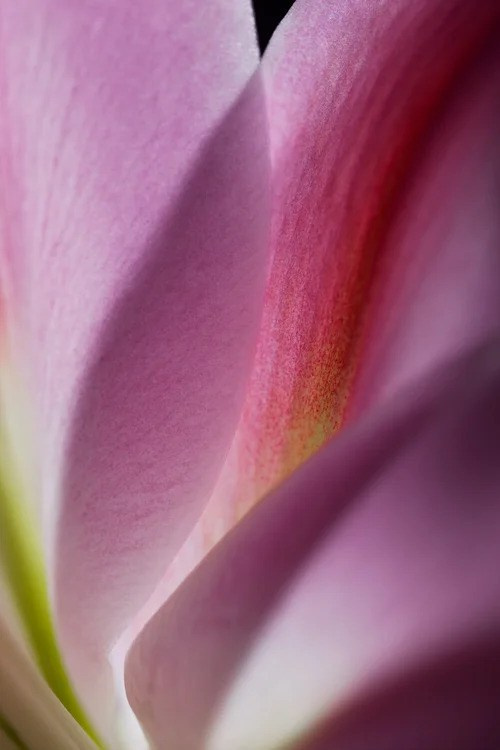 Beauty. Interimagenes I Barcelona Photographers