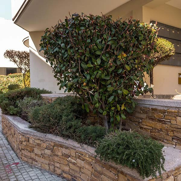 Κήπος Ψυχικό. Geoponitikon-Όταν η Επιστήμη συναντά την Τέχνη στο Φυσικό Τοπίο!