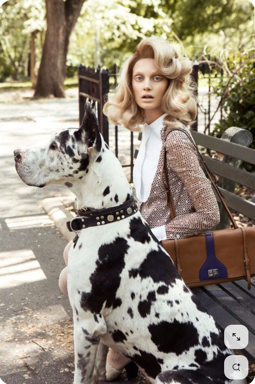 СЪЁМКА СЕБЯ С ЖИВОТНЫМИ