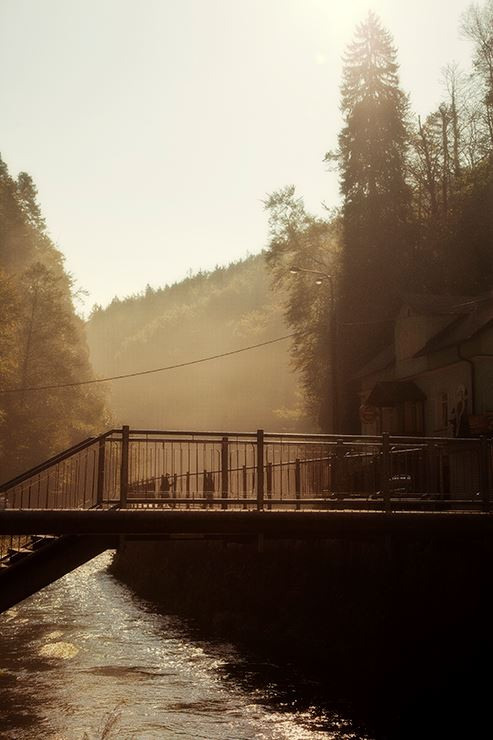 9…сказочный лес, Чешской Швейцарии…. Путешествия в формате 360......