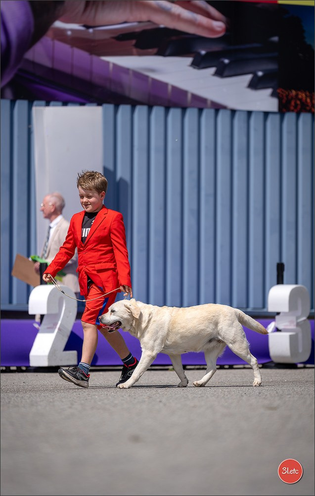 Expo canine 🇫🇷 Valence 02-03/05/2026