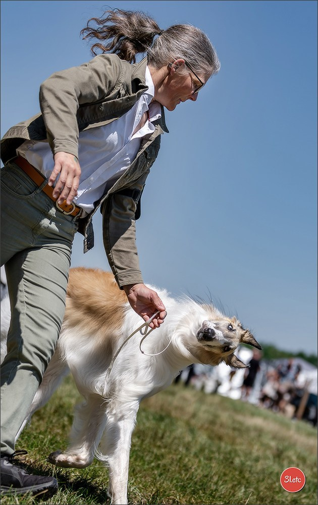 Dog Show - Hallbergmoos 🇩🇪 11-12/07/2026