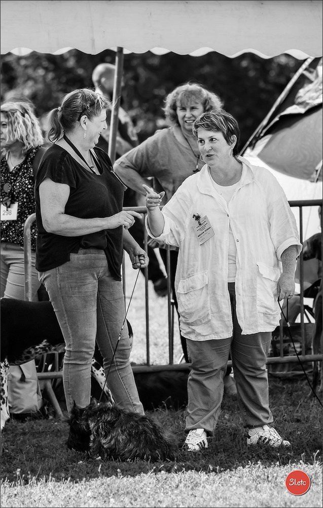 🇫🇷 Romorantin - Exposition Canine Nationale. Photographe à Strasbourg | Portraits, Studio, Enfants, Événements