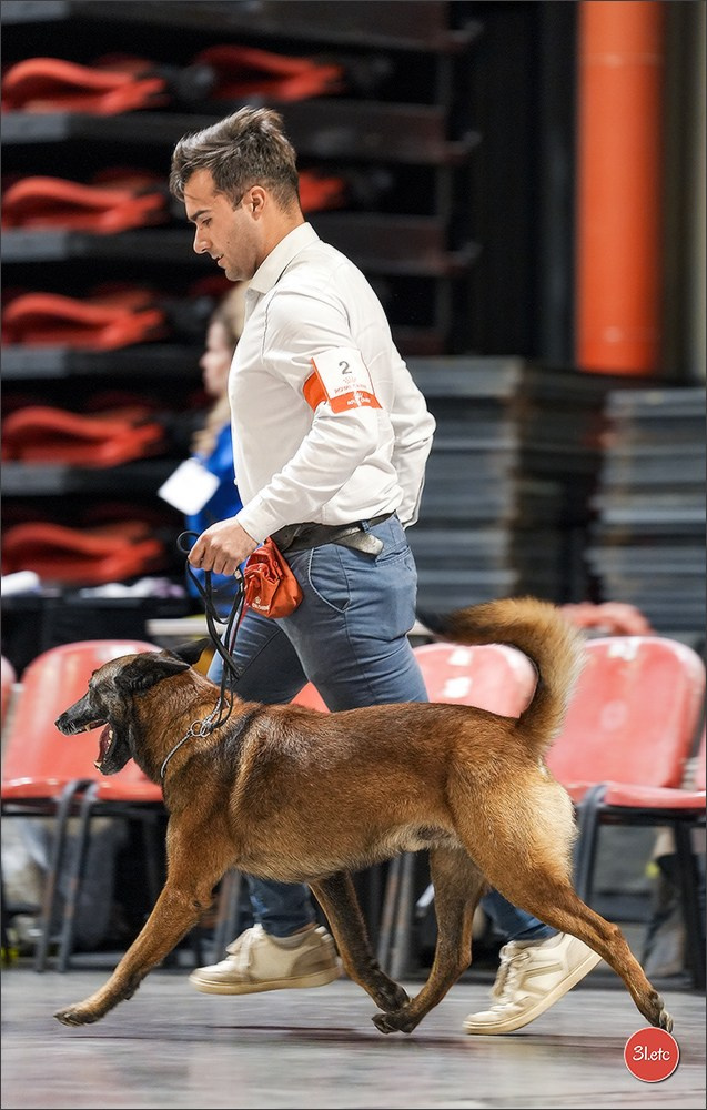 Expo canine 🇫🇷 Martigues 18-19/04/2026