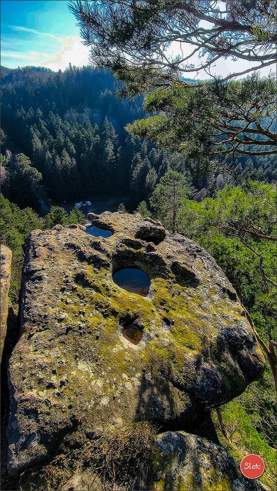 Une forêt, un rocher et un cimetière gallo-romain. Photographe à Strasbourg | Portraits, Studio, Enfants, Événements