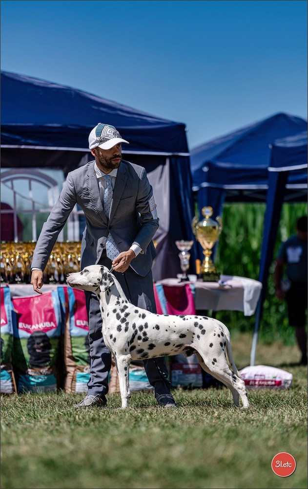 Dog Show - Hallbergmoos 🇩🇪 11-12/07/2026