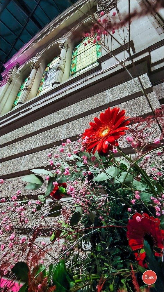 Musée De Picardie #Amiens #MuseeDePicardie #France. Photographe à Strasbourg | Portraits, Studio, Enfants, Événements