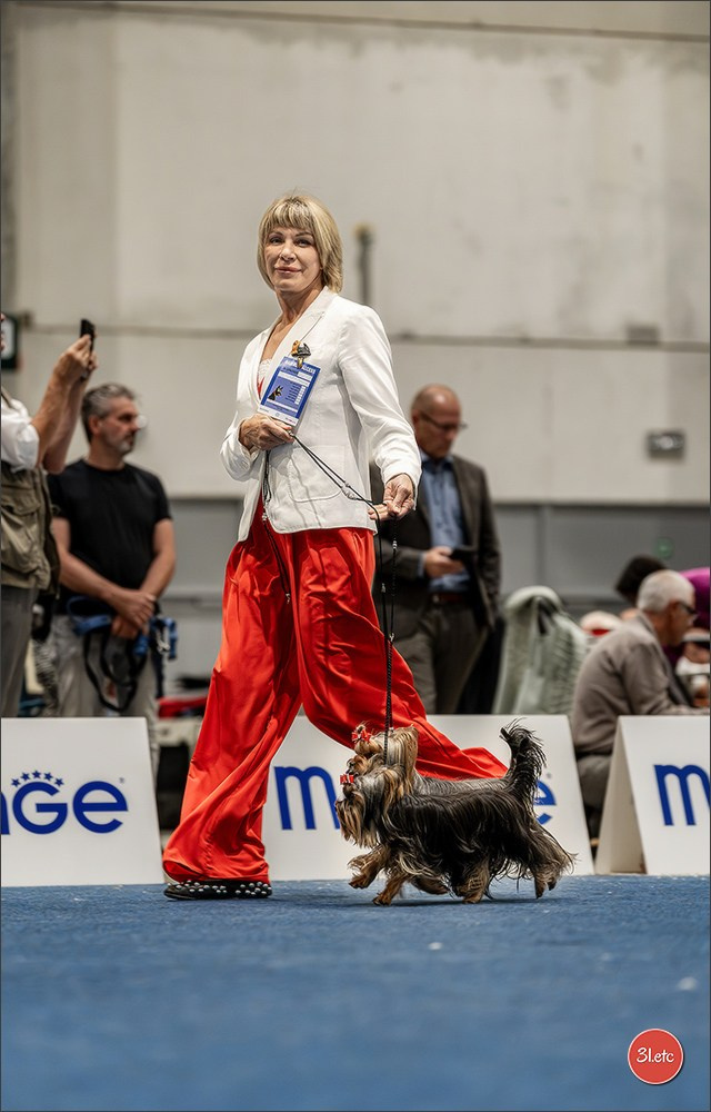 Dog Show Liege 🇧🇪 2026