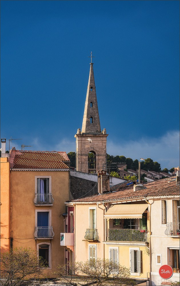 Martigues  🇫🇷. Photographe à Strasbourg | Les animaux, Portraits, Studio, Événements