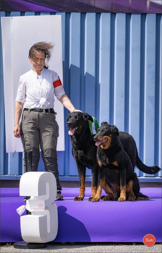 Expo canine 🇫🇷 Valence 02-03/05/2026