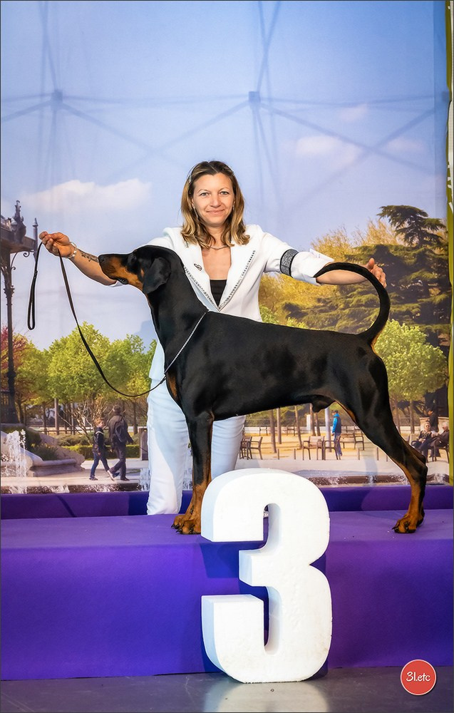 Expo canine 🇫🇷 Valence 02-03/05/2026
