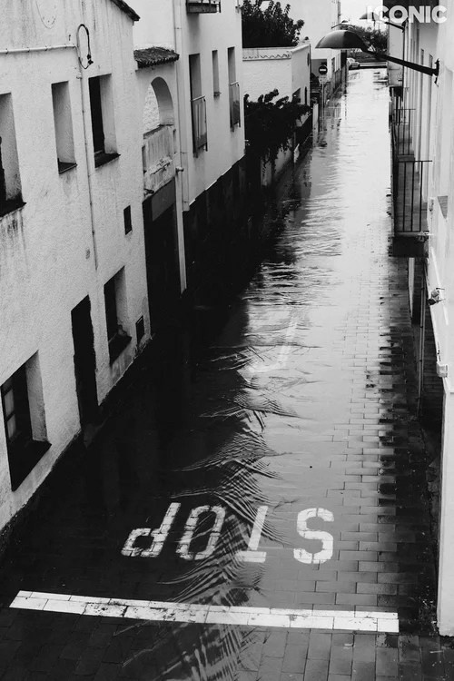 Publications. OLGA REPTIK