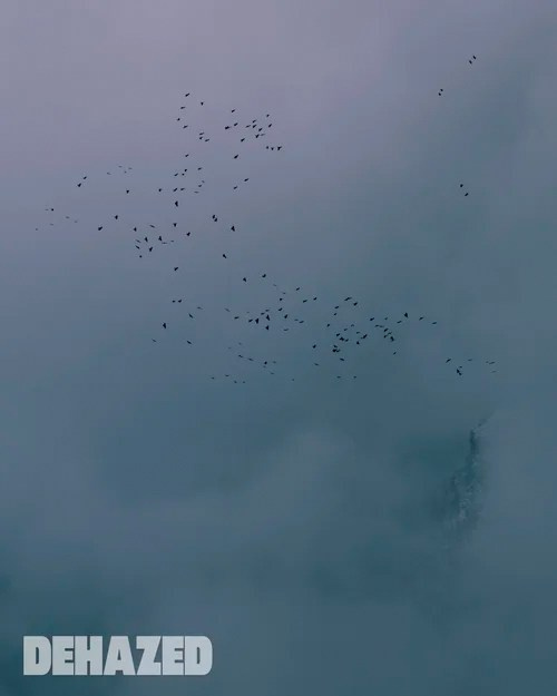 Publications. OLGA REPTIK