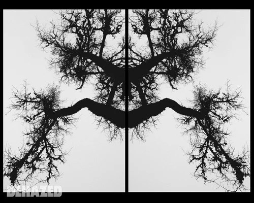 Publications. OLGA REPTIK