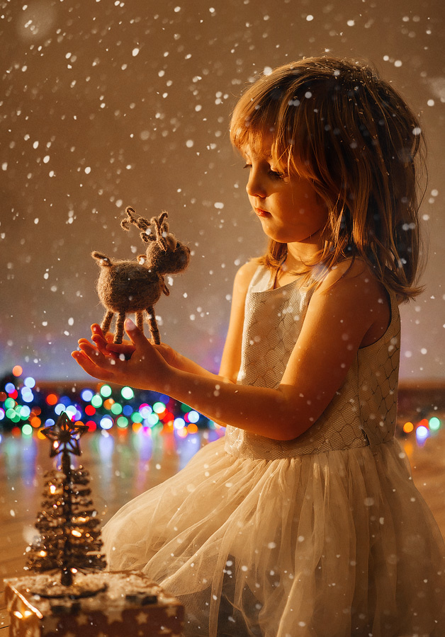 НОВЫЙ ГОД у Вас дома. Фотограф в Ереване Карина Тоноян