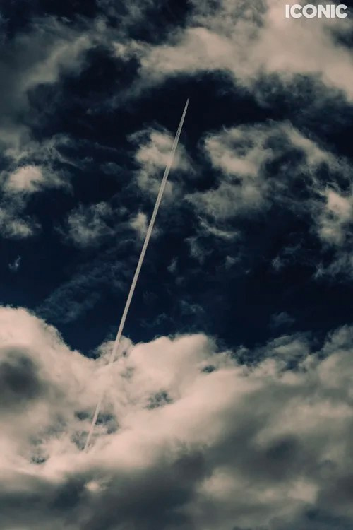 Publications. OLGA REPTIK